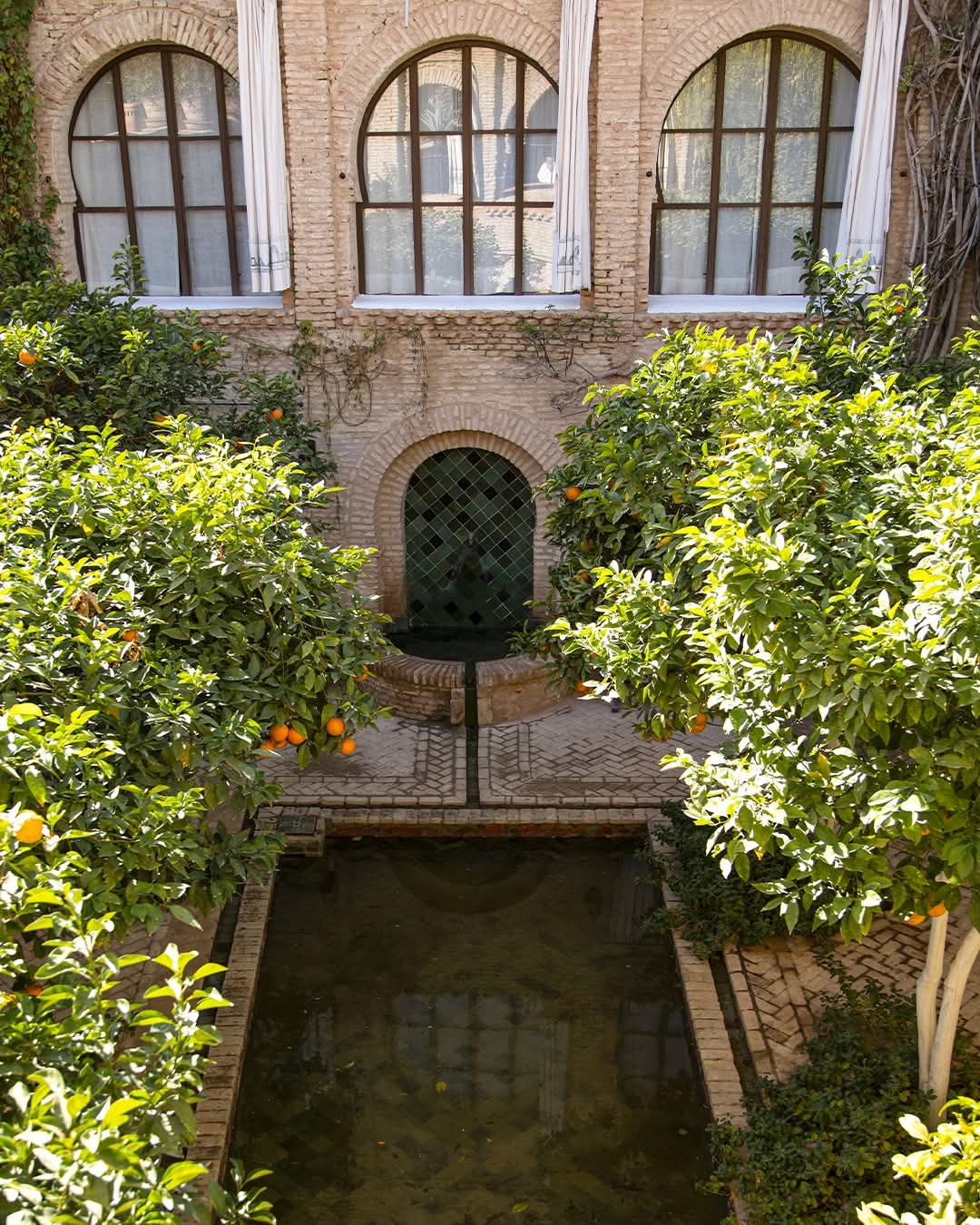 Patio aux orangers et fontaine