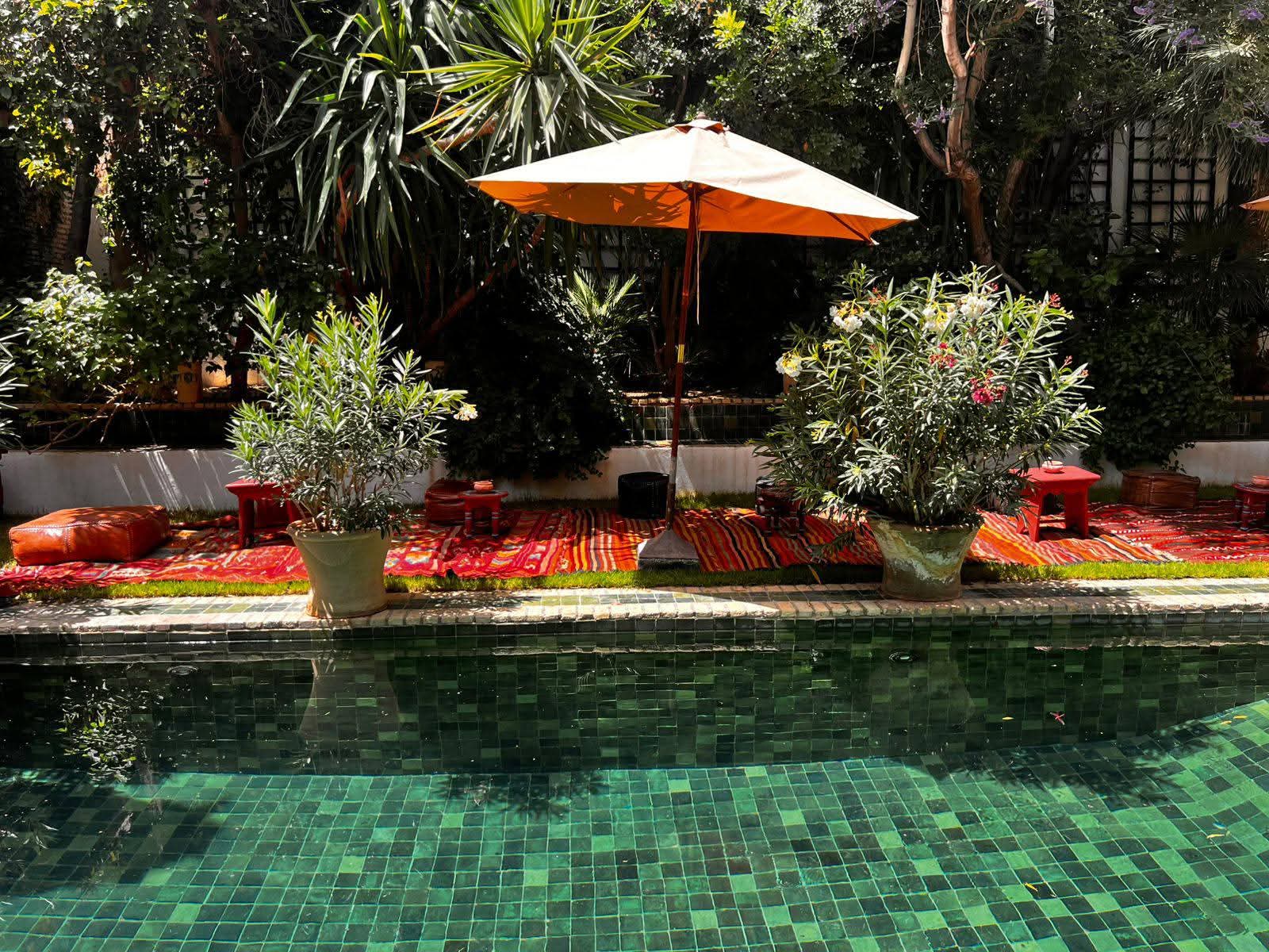 Parasol orange et lauriers en fleurs au bord de l'eau
